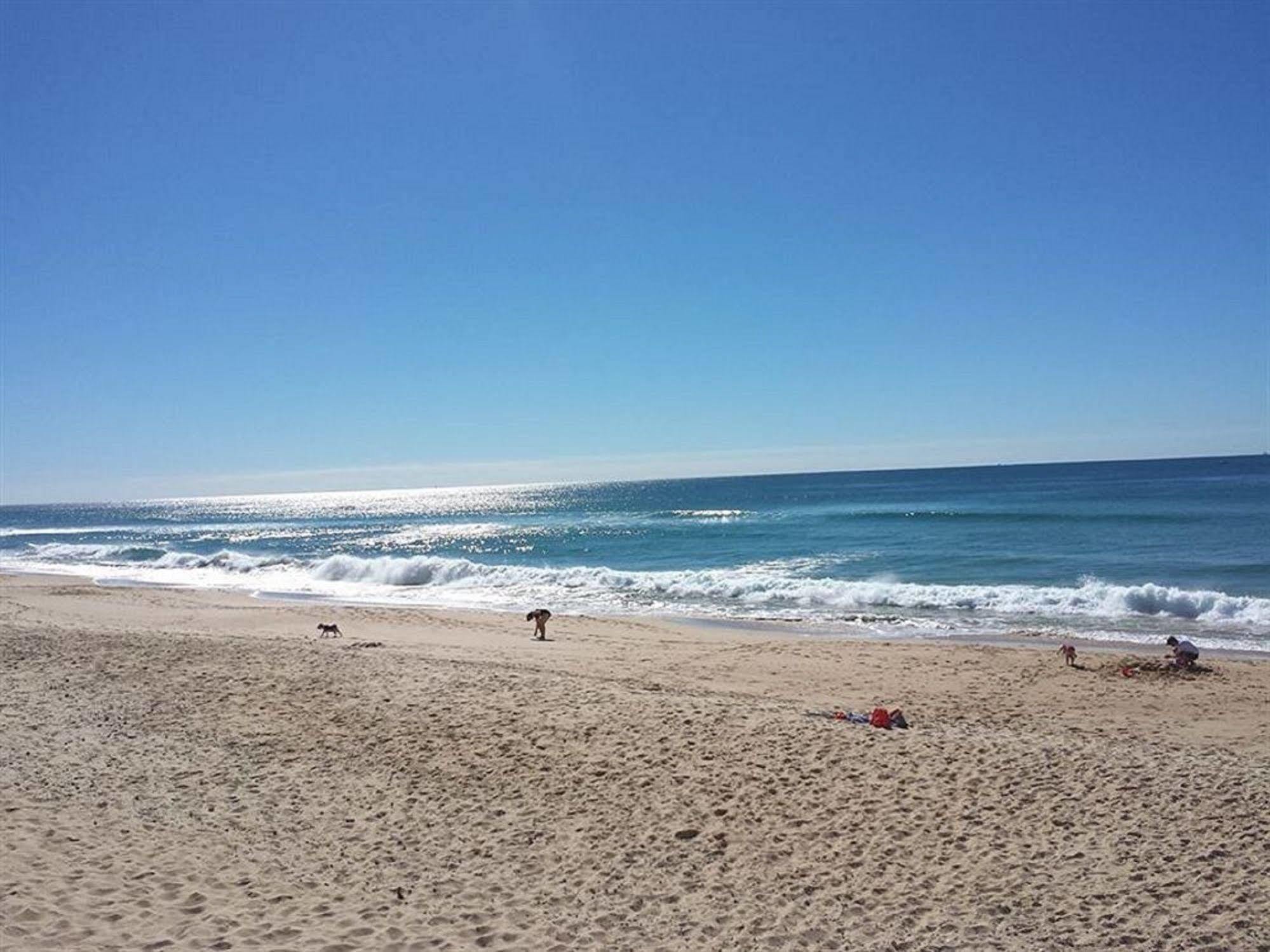 Surfside On The Beach Buddina Экстерьер фото